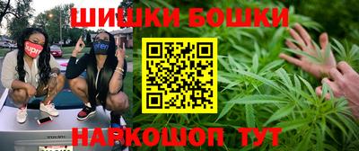 гидропоника Бийск