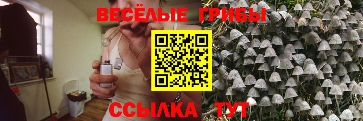 Белебей  Галлюциногенные грибы Psilocybine cubensis  Вход с VPN  что такое   Галлюциногенные грибы Psilocybe 