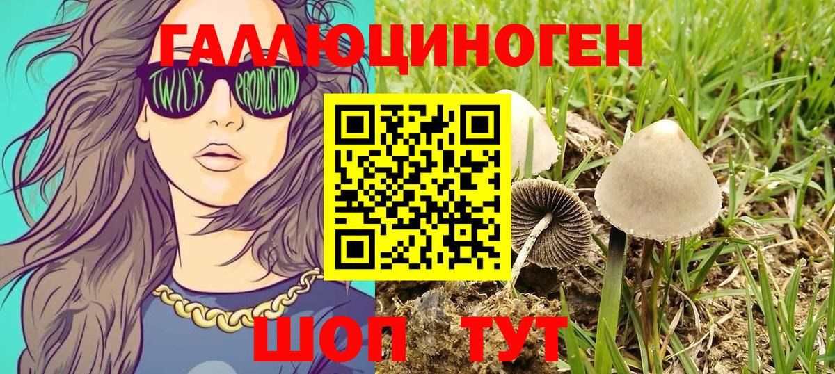 Псилоцибиновые грибы прущие грибы Белебей